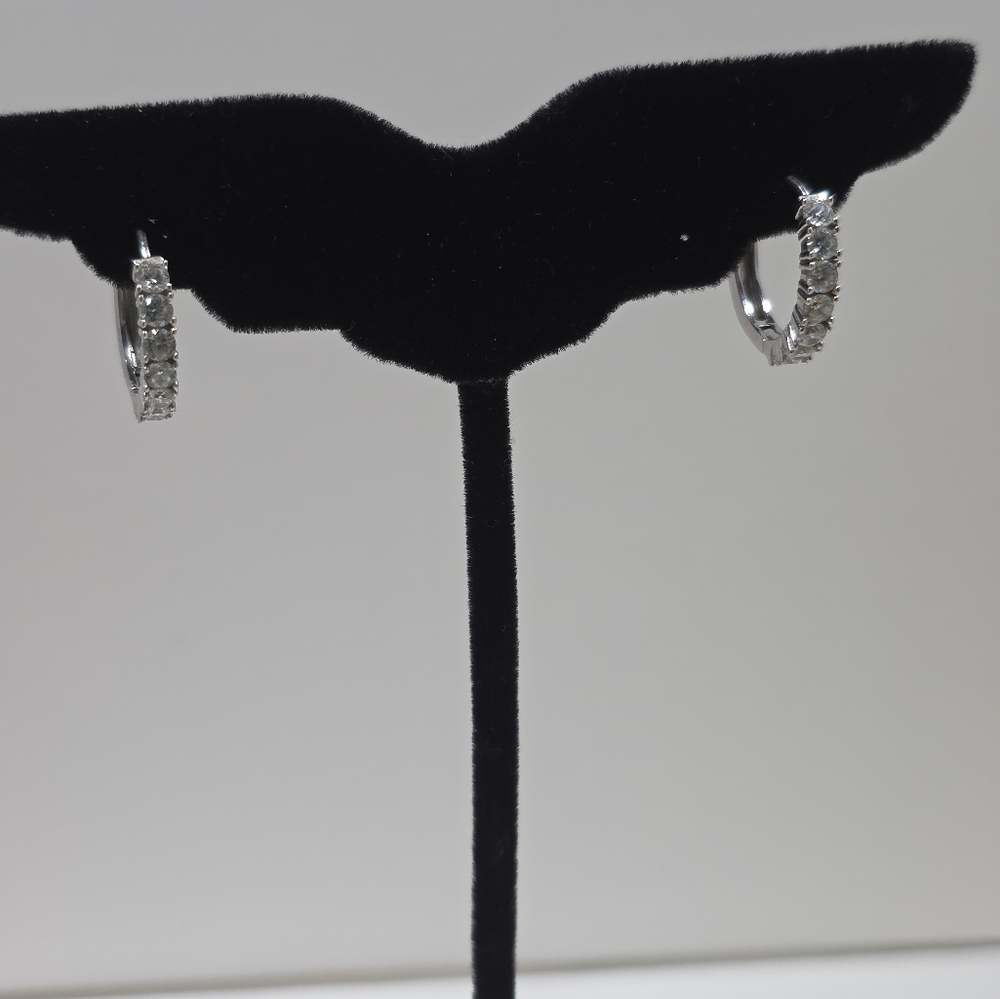 Elegant Silver Earrings
